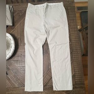 Express Dress Pants